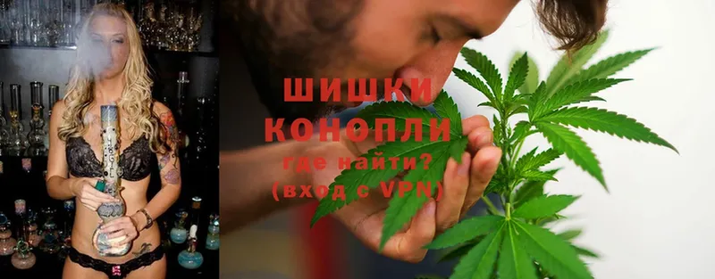 Конопля THC 21%  где можно купить   Светлоград 